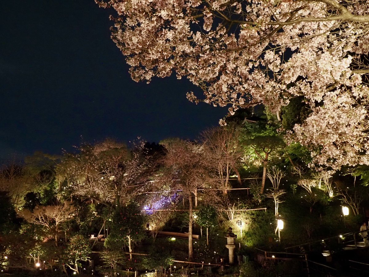 ロプロス tweet media