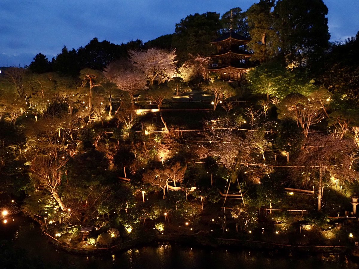 ロプロス tweet media