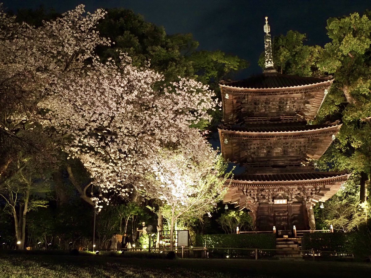 ロプロス tweet media