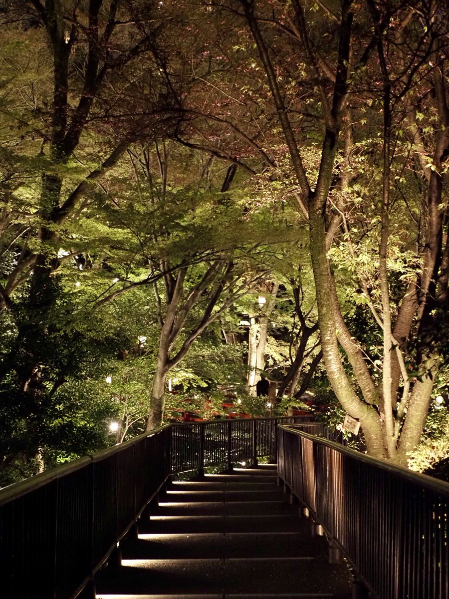 ロプロス tweet media