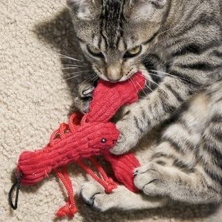 professional cat-ifyer of the HR cast tweet media