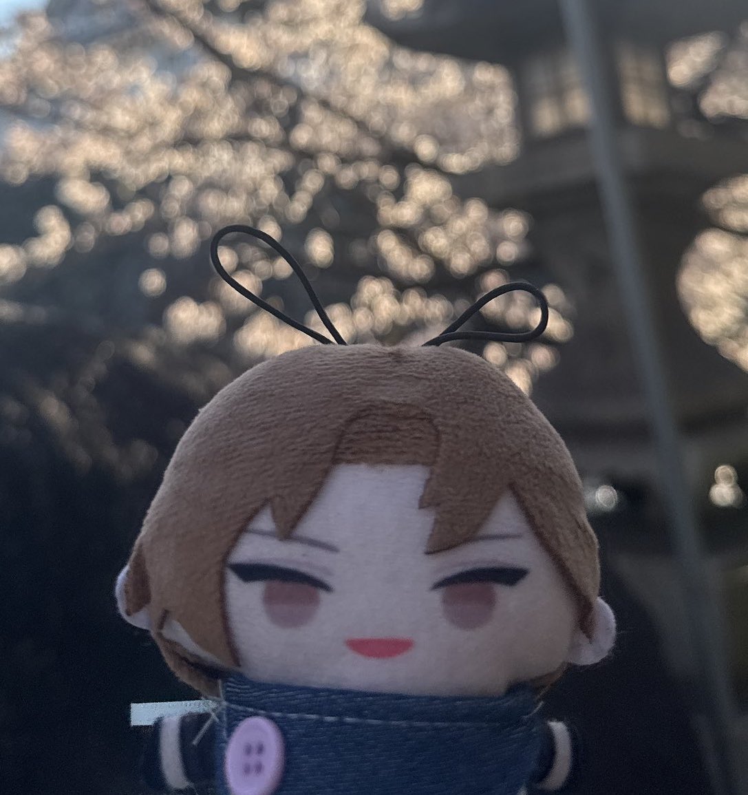 ひい💫 tweet media