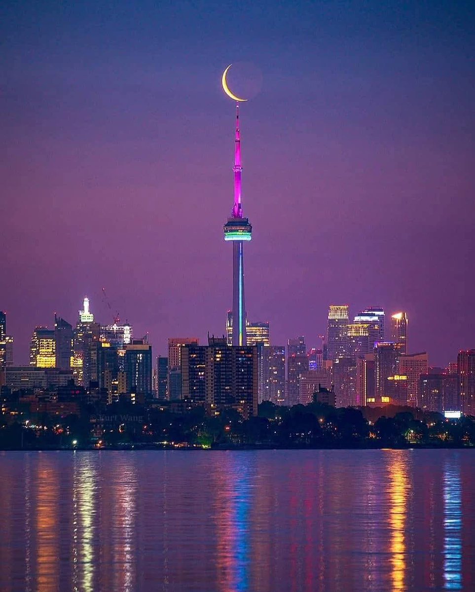 Wildscape Wonders tweet media