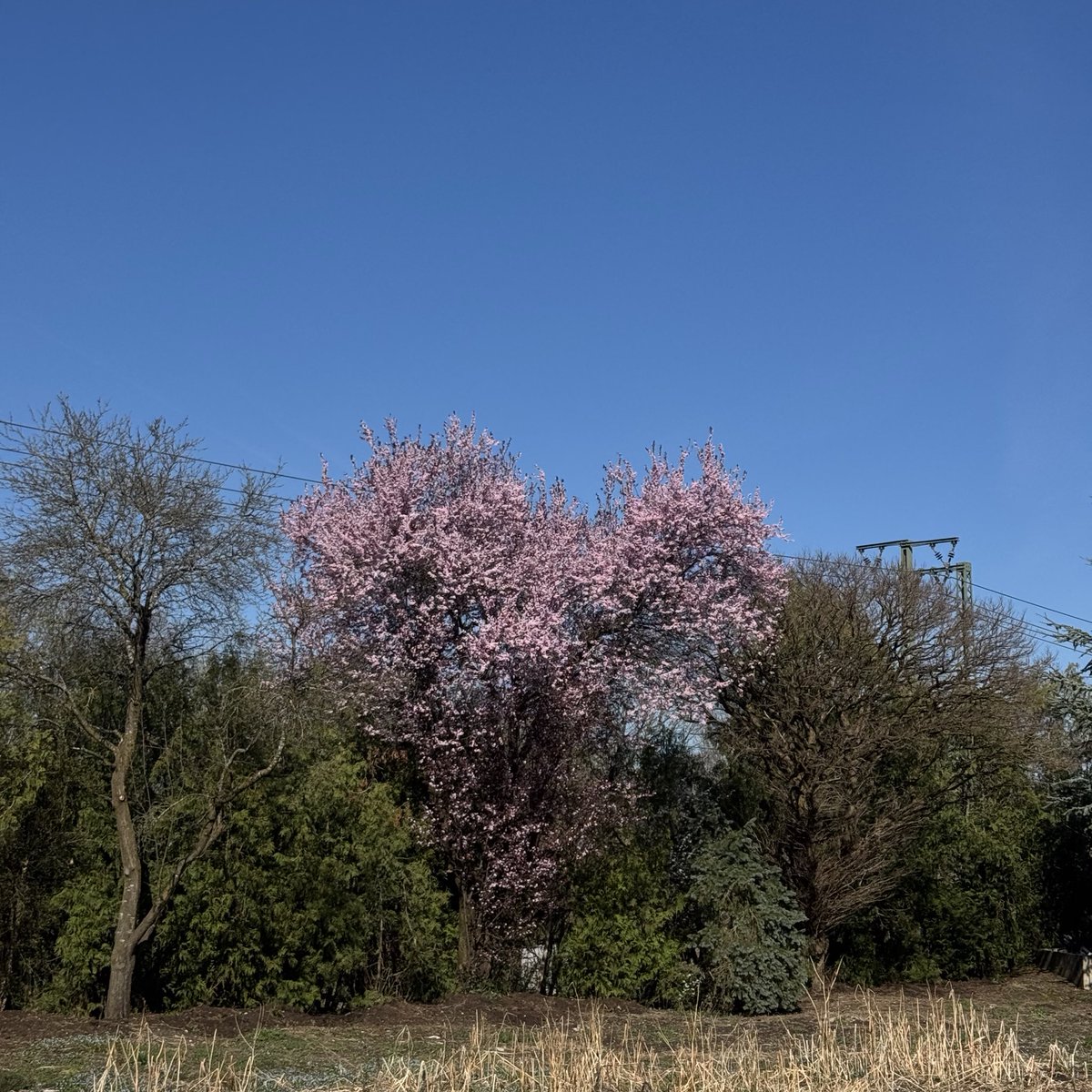 hannah ⚢ tweet media