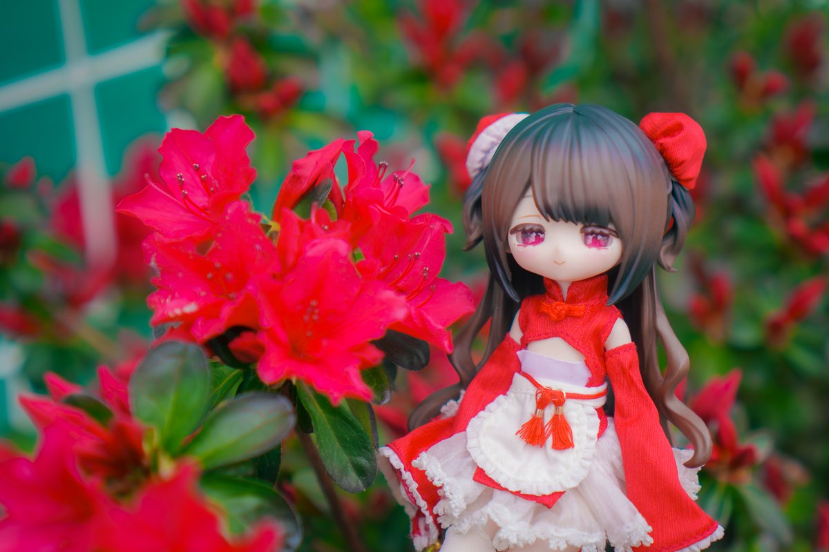 もちもち太郎 tweet media