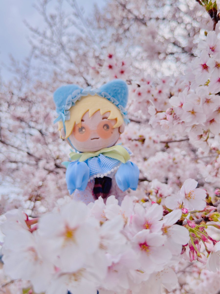 yanagi🌱🍩 tweet media