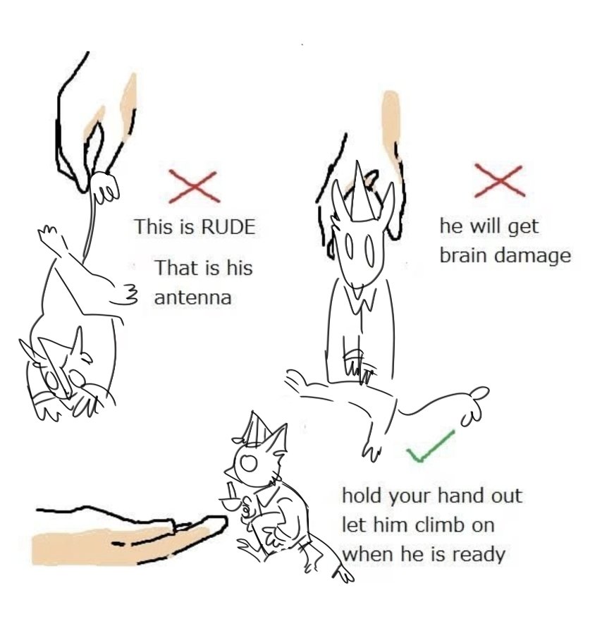 Bush ✨️😶🌫️ tweet media