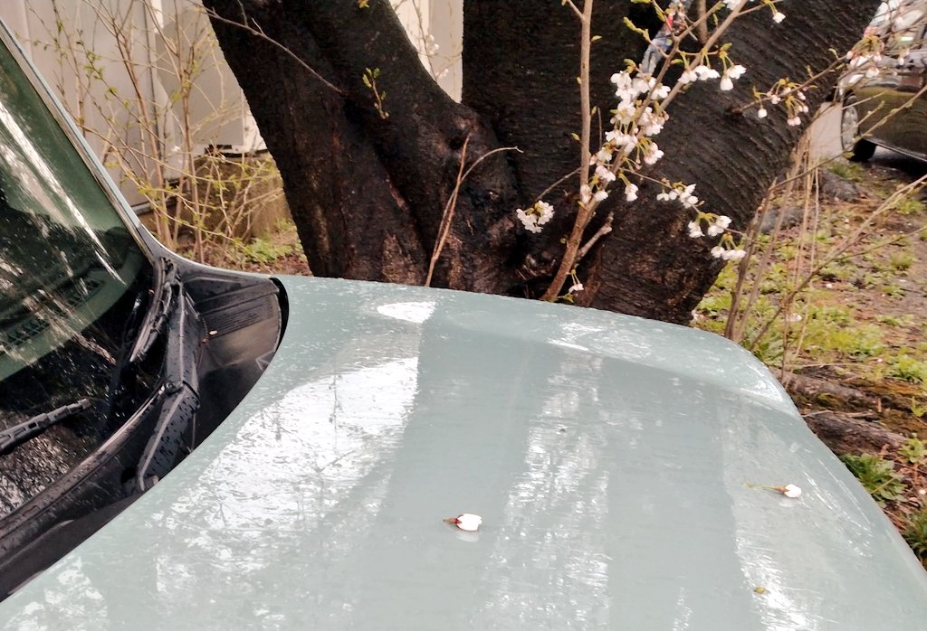 おだんご tweet media