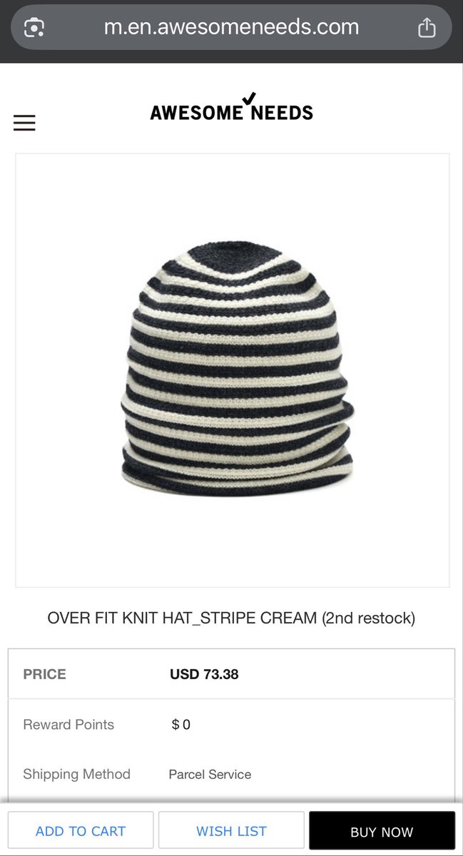 Noze is wearing the Stripe Cream Over Fit Knit Hat from Awesome Needs in her Unfiltered Page 25 vlog