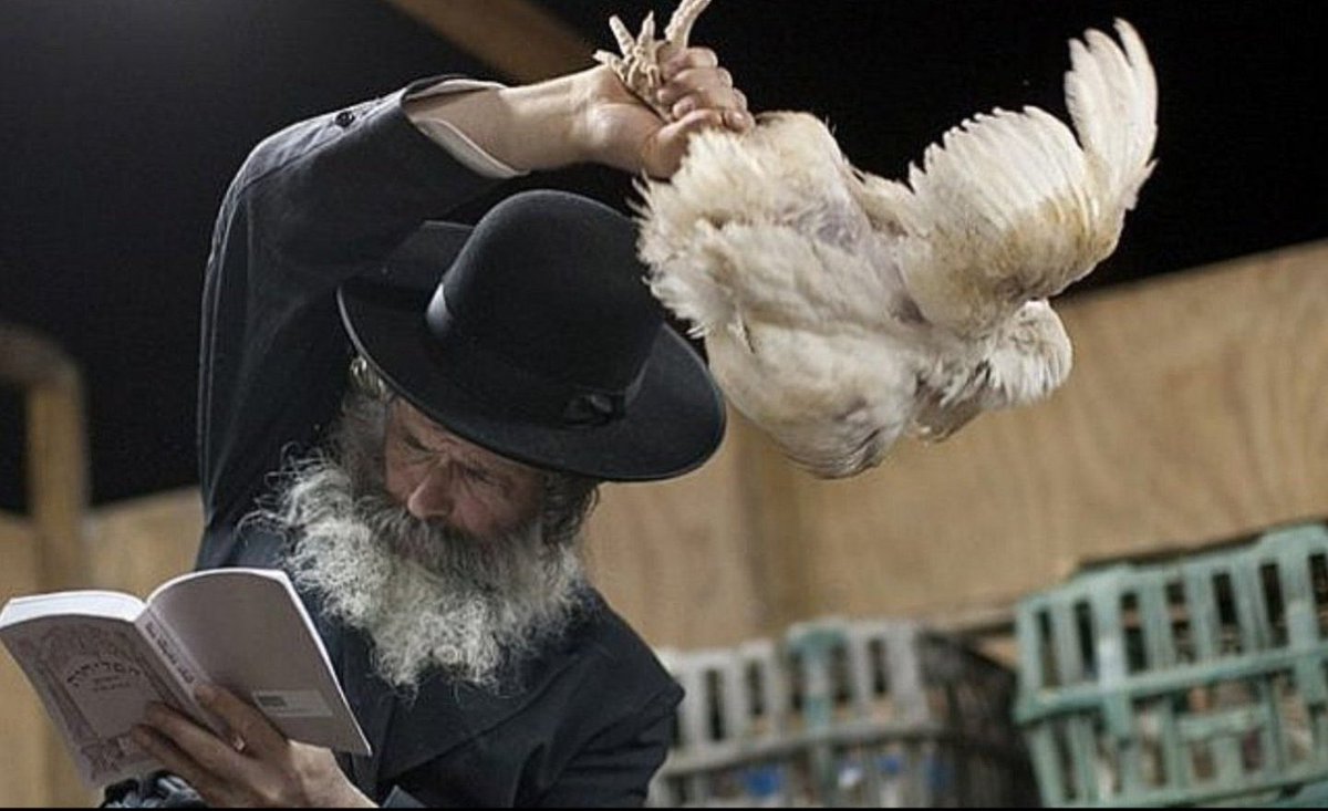 VIRGINEKE BIS 🇪🇸 tweet media