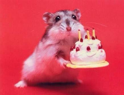 しおっち tweet media