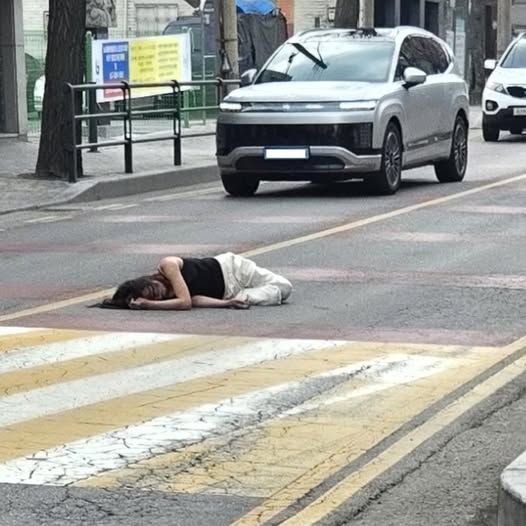 어서오시개 tweet media