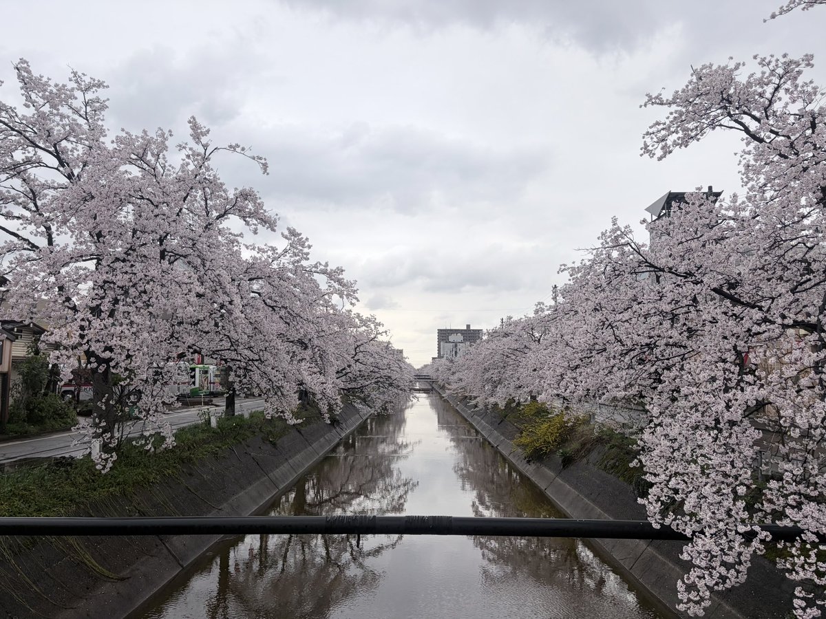 yuko_2720 tweet media