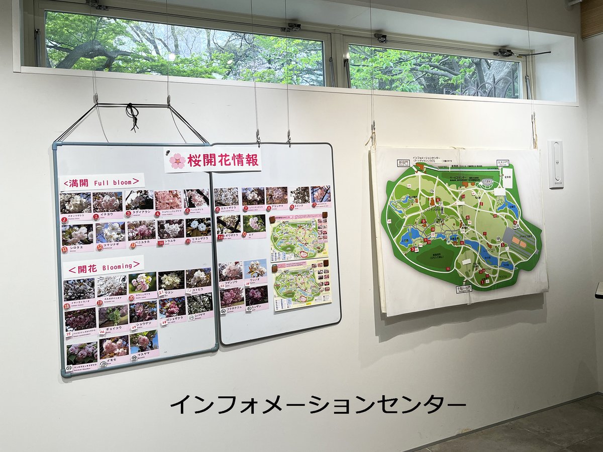 新宿御苑 自然情報 tweet media