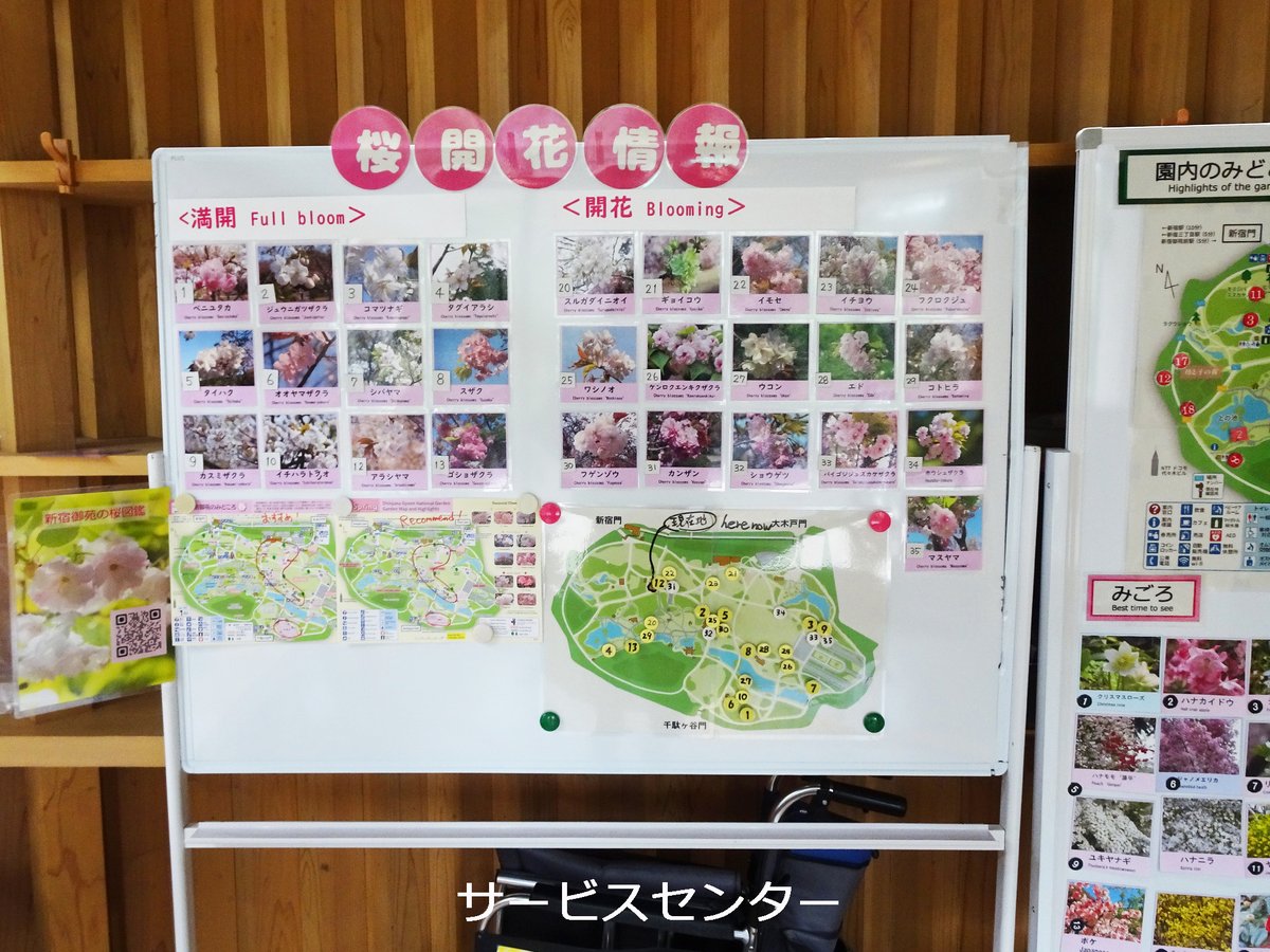 新宿御苑 自然情報 tweet media