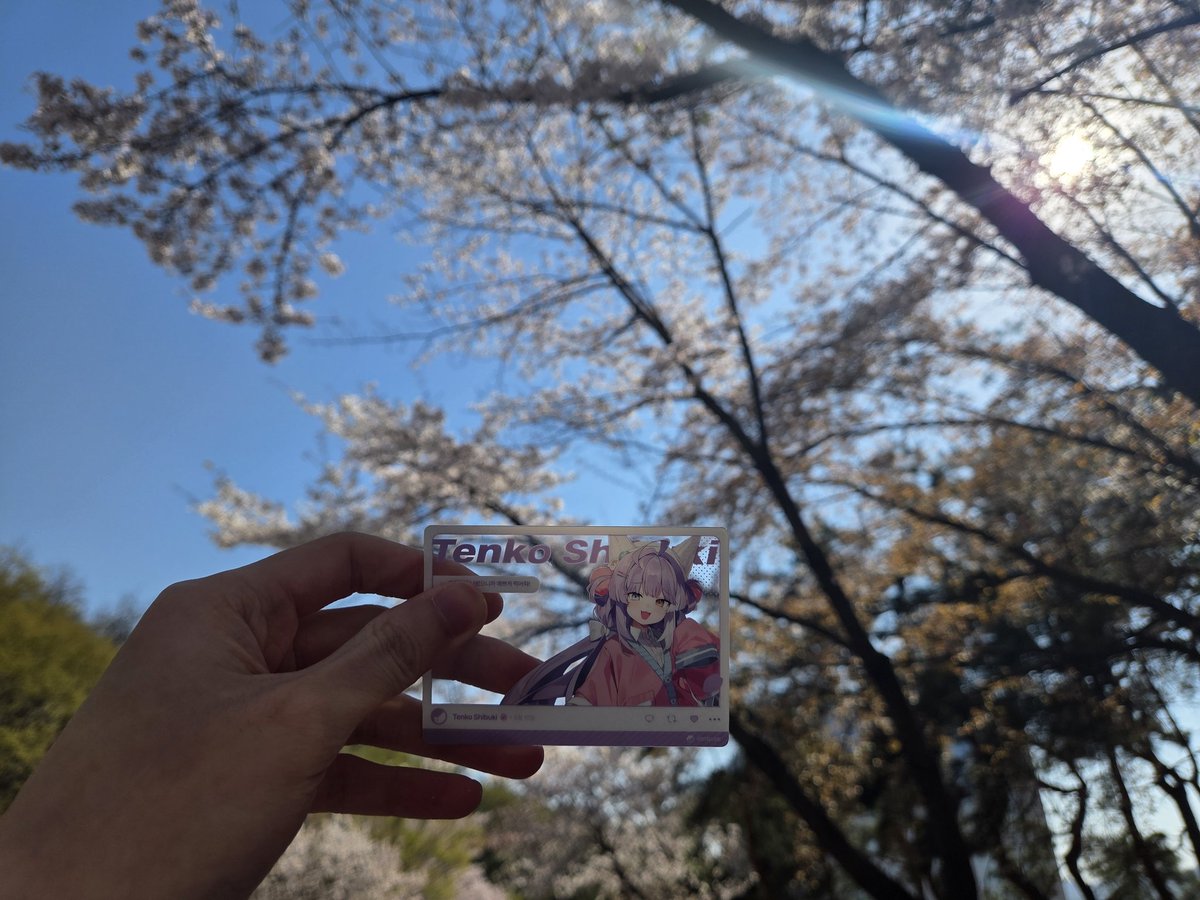 김라지 ⛩️🕹️ tweet media