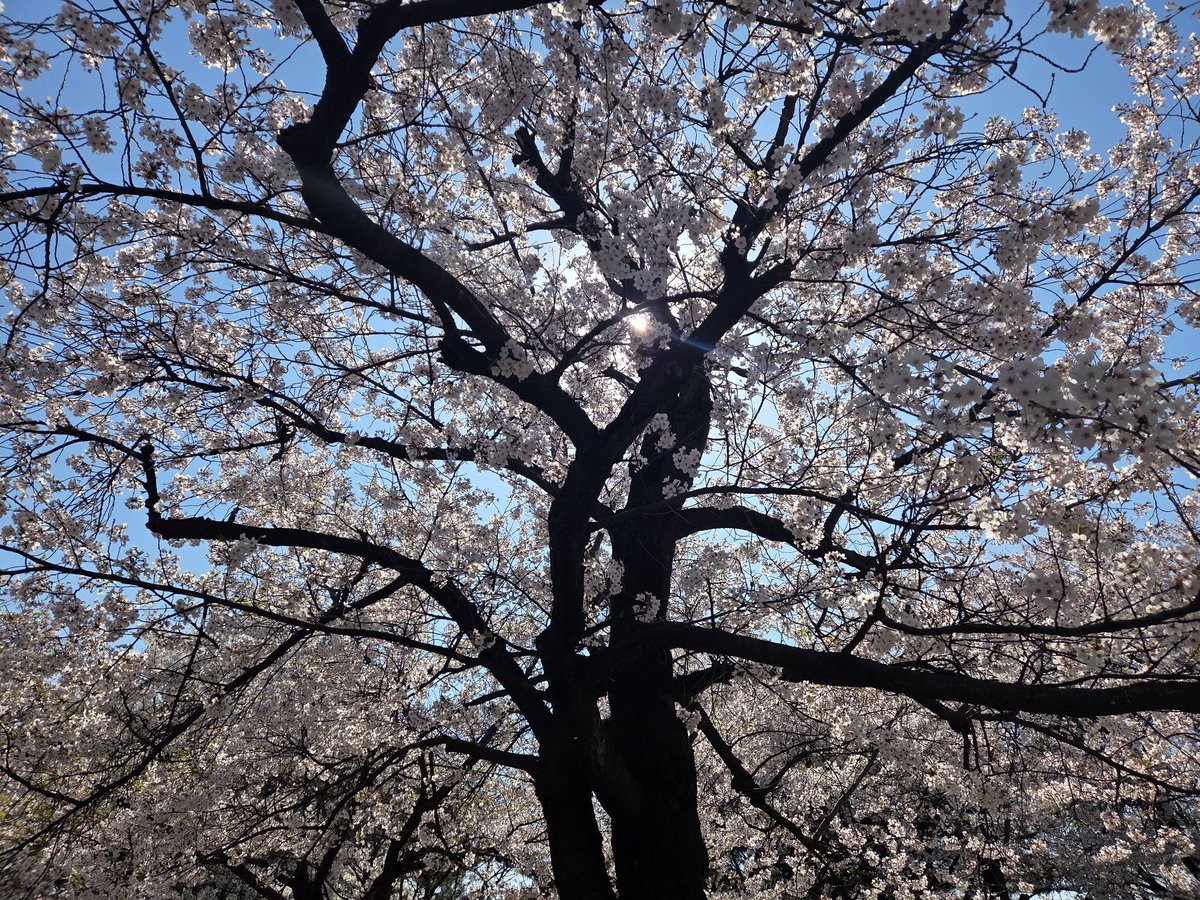 김라지 ⛩️🕹️ tweet media