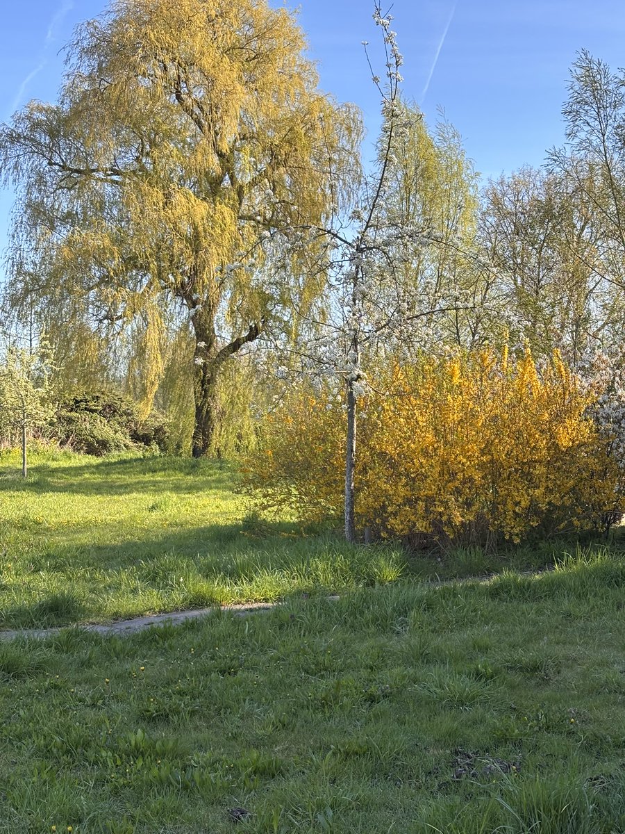 💛minusss tweet media