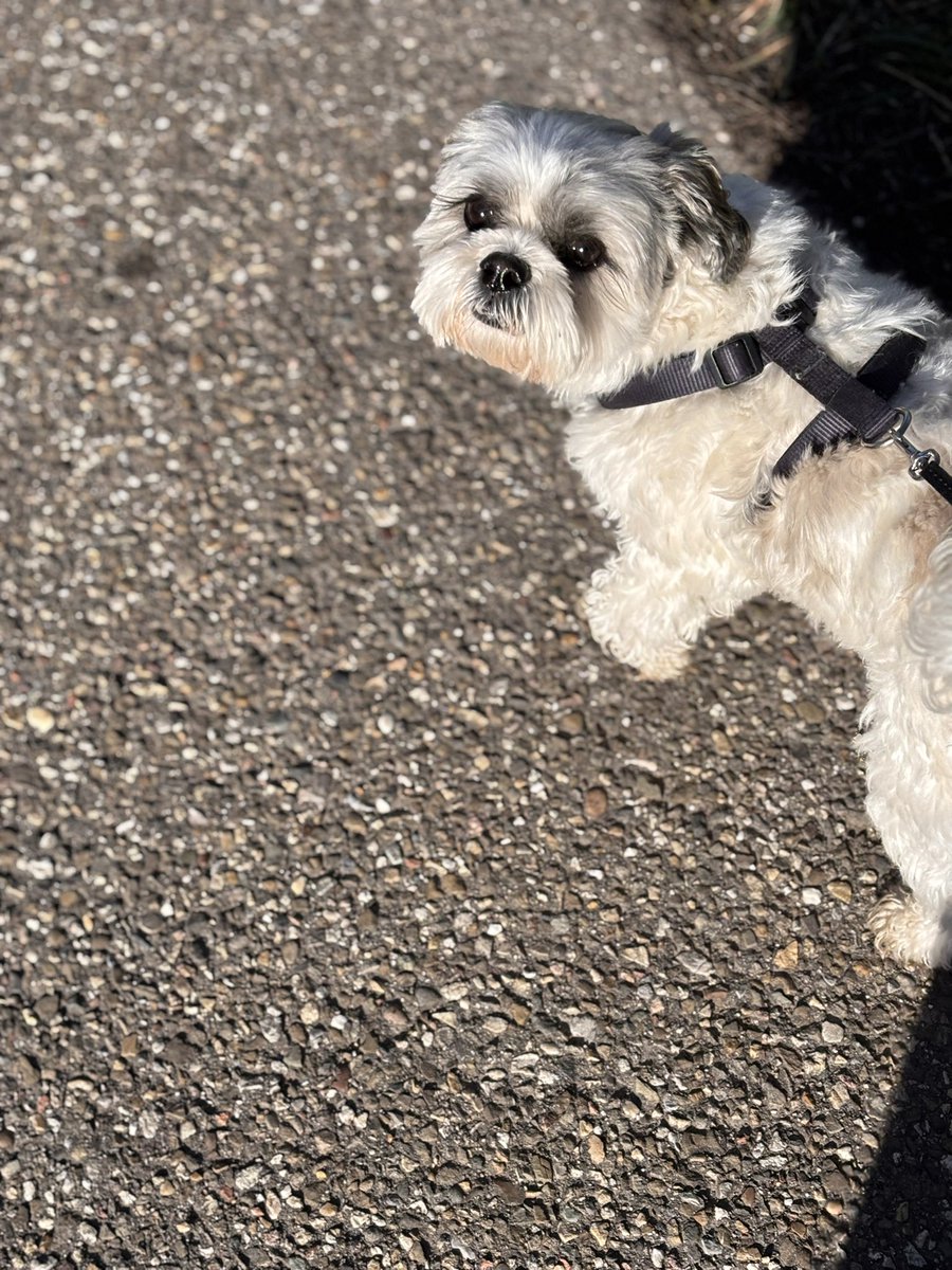 💛minusss tweet media