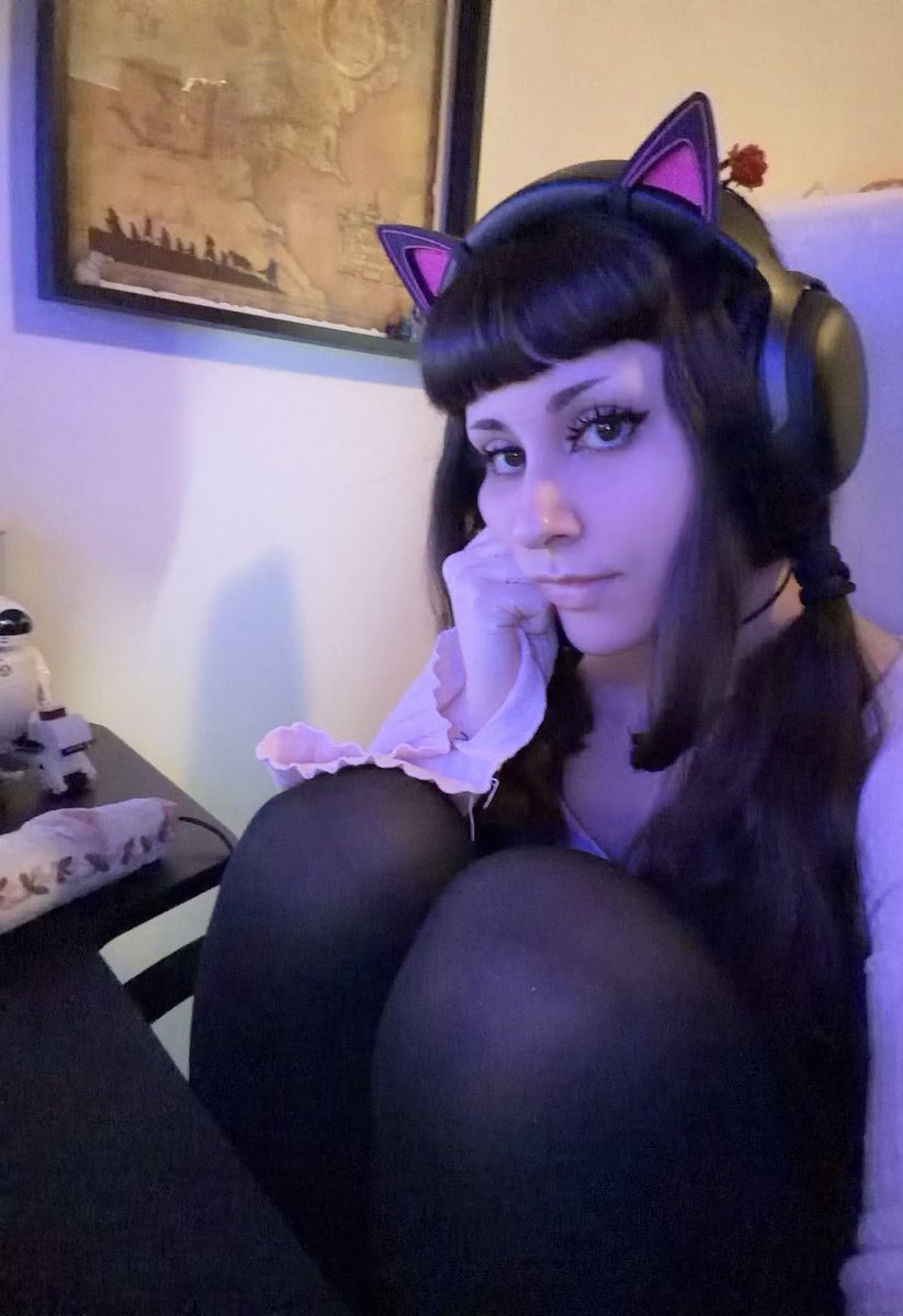 ⊹ ࣪ ˖ Cat tweet media