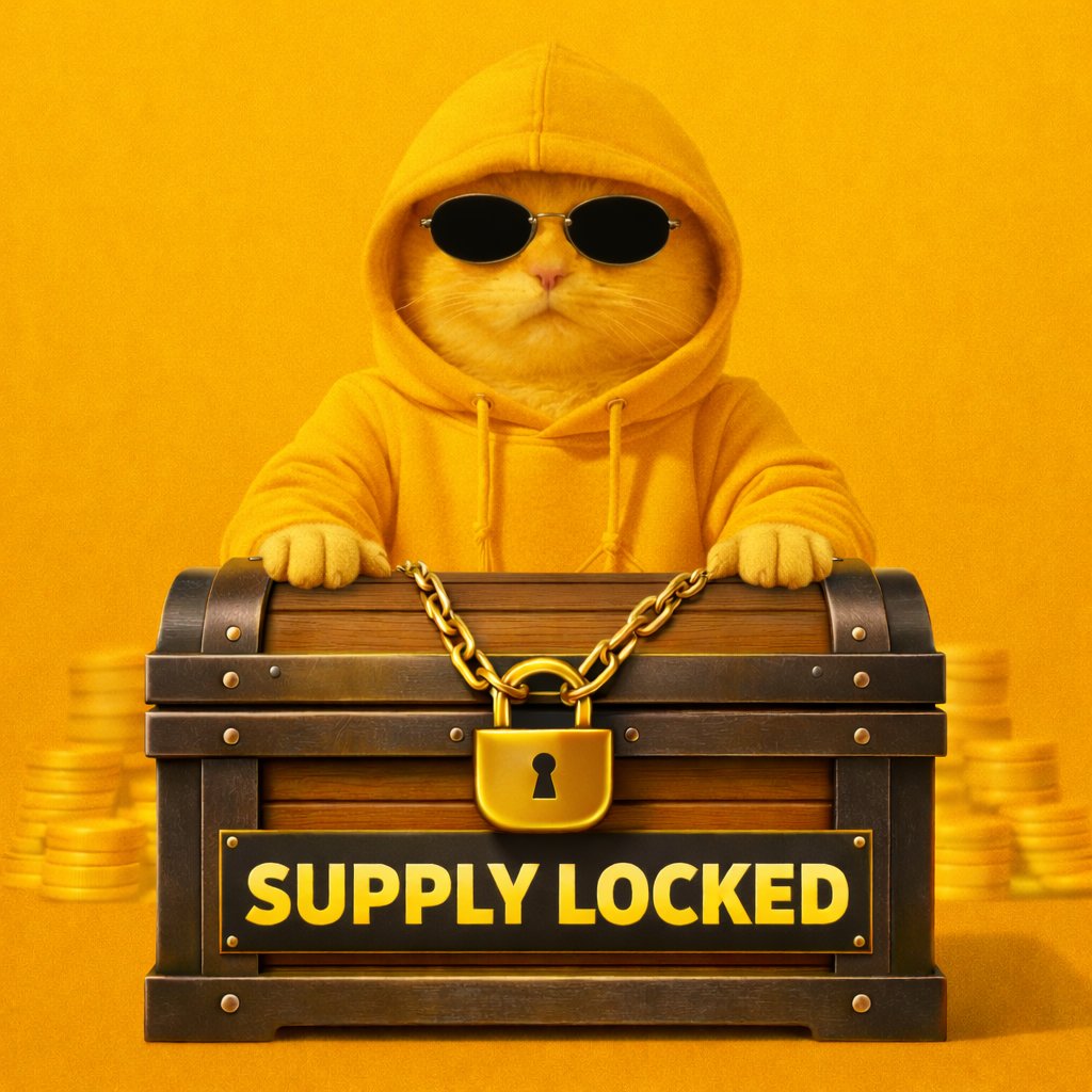 We reached the bonding curve in just a few hours. 

50% of the supply is locked on Streamflow. 🔓

The funds are secured for future airdrops and the long-term sustainability of the project, listings and marketing.