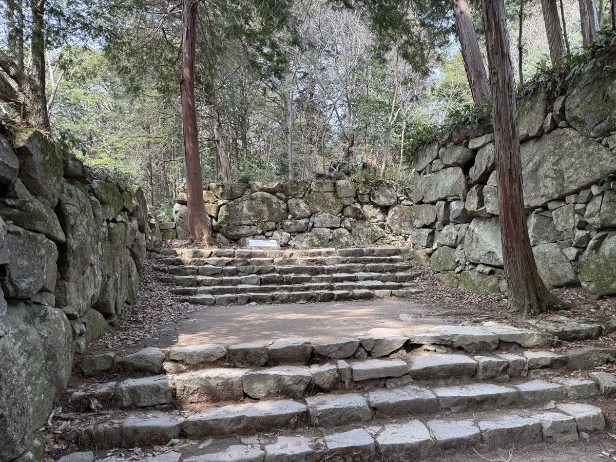 k-masahiro tweet media