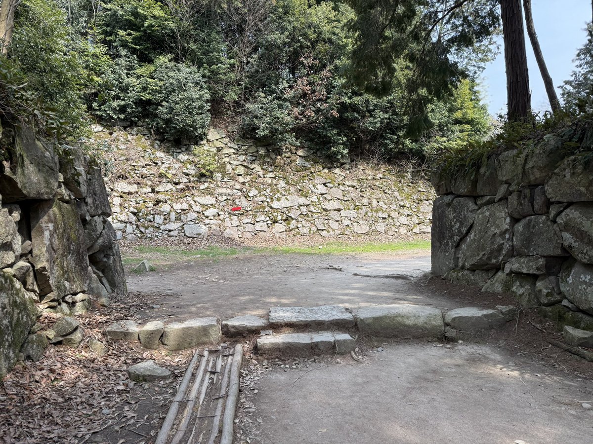 k-masahiro tweet media