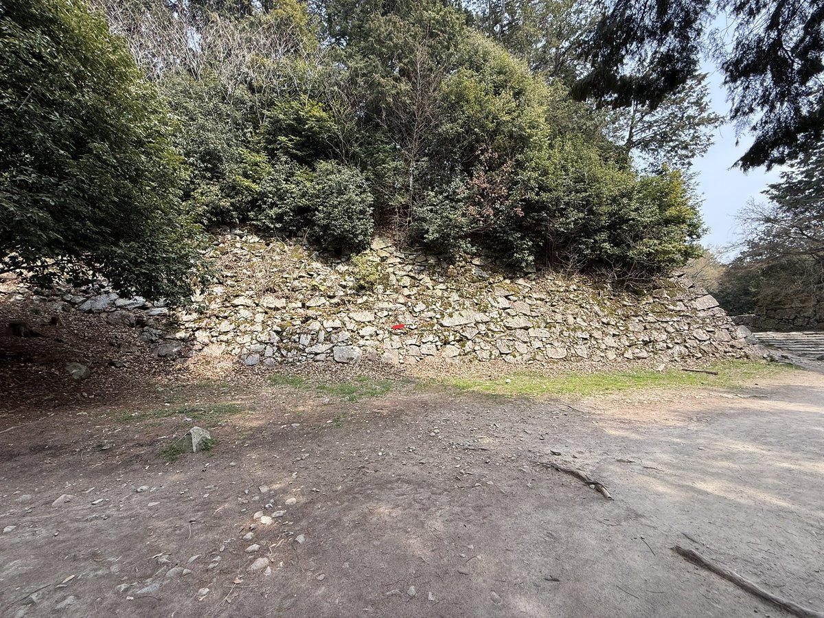 k-masahiro tweet media