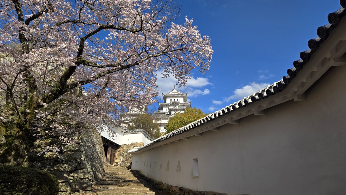 姫路城運営事務所【公式】 tweet media