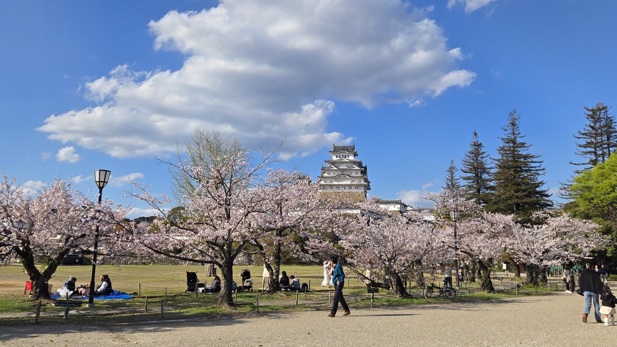 姫路城運営事務所【公式】 tweet media