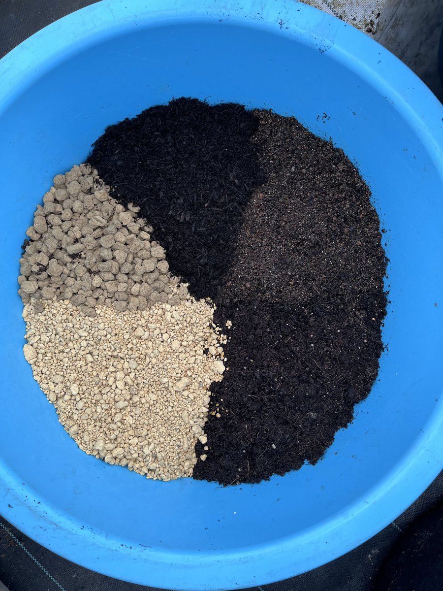 宮崎大輔🍓イチゴテック tweet media