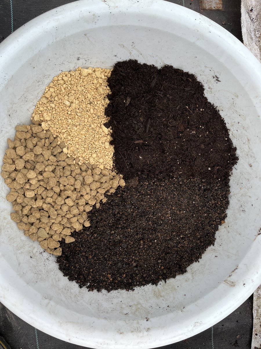 宮崎大輔🍓イチゴテック tweet media