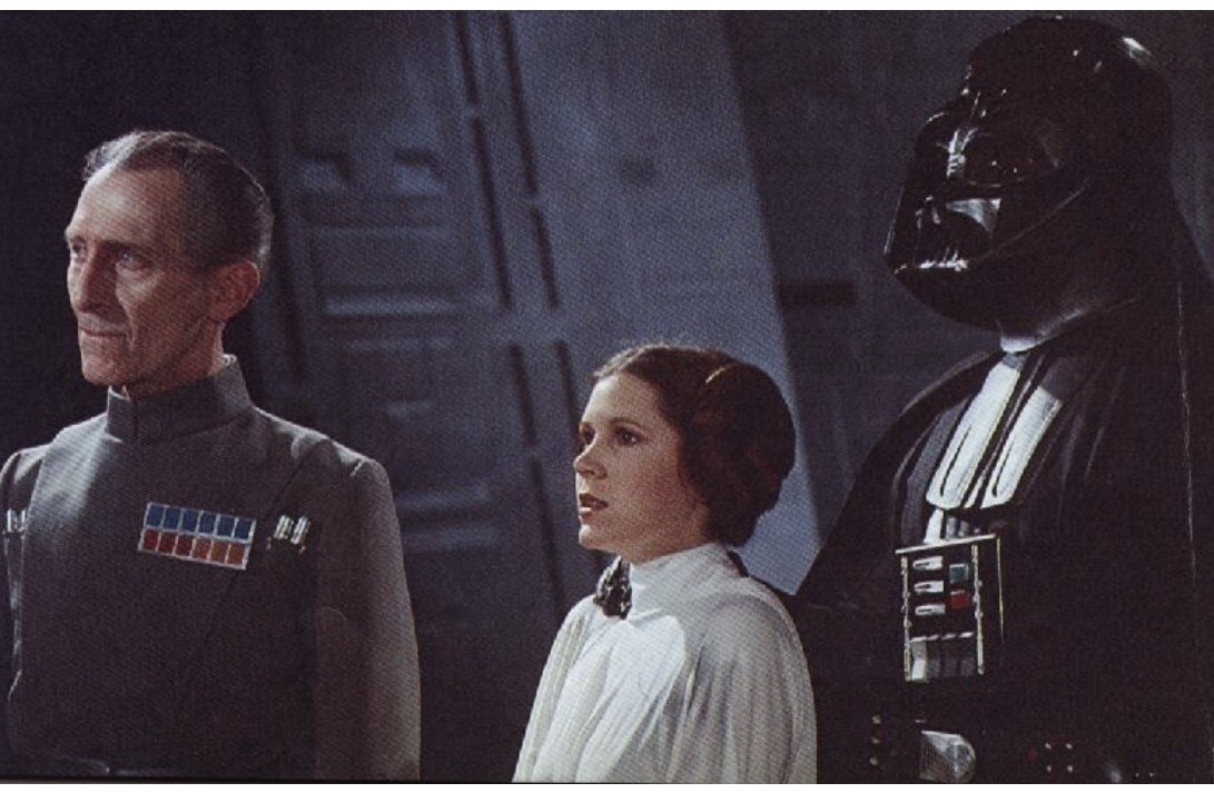 🗡 Samson 📿 tweet media