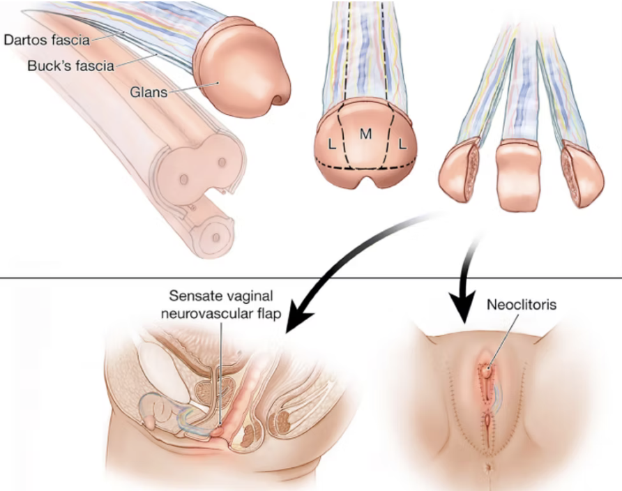 Ir. IPGSPR tweet media