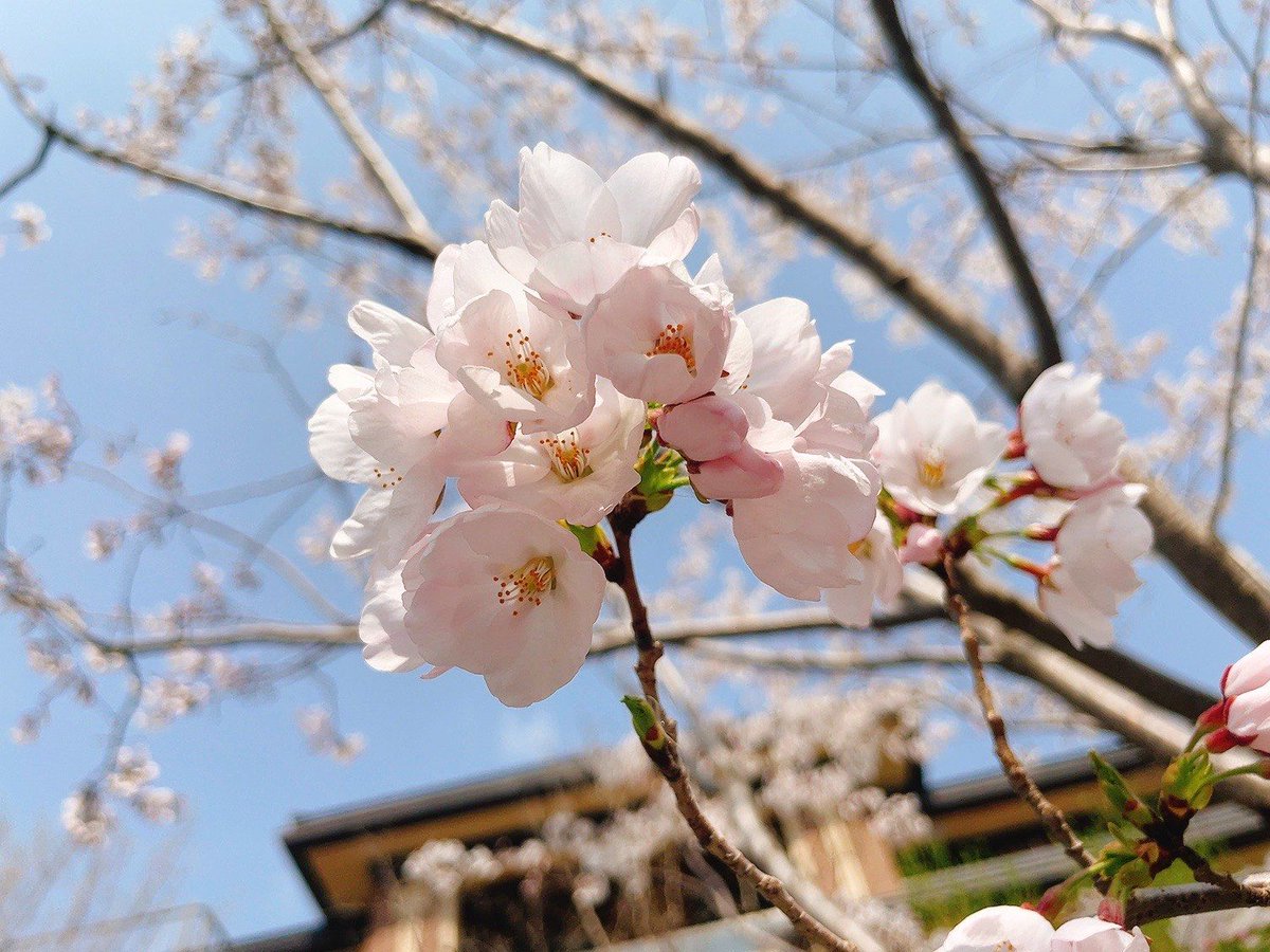 ABDULLA ALMAZMI tweet media