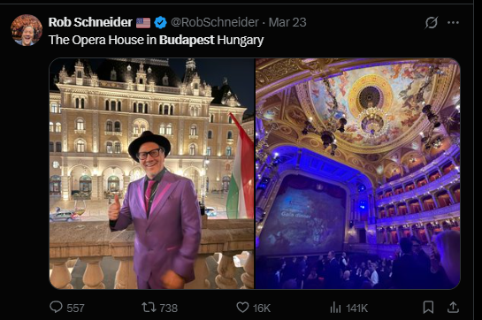 Brahccoli tweet media