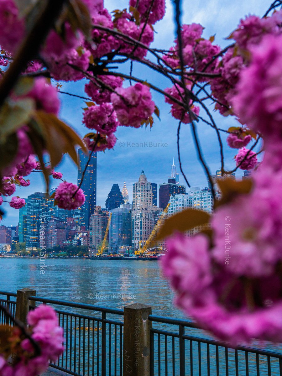 BahahaMalik's tweet photo. New York City, USA 🇺🇸 https://t.co/UwIomigoRM