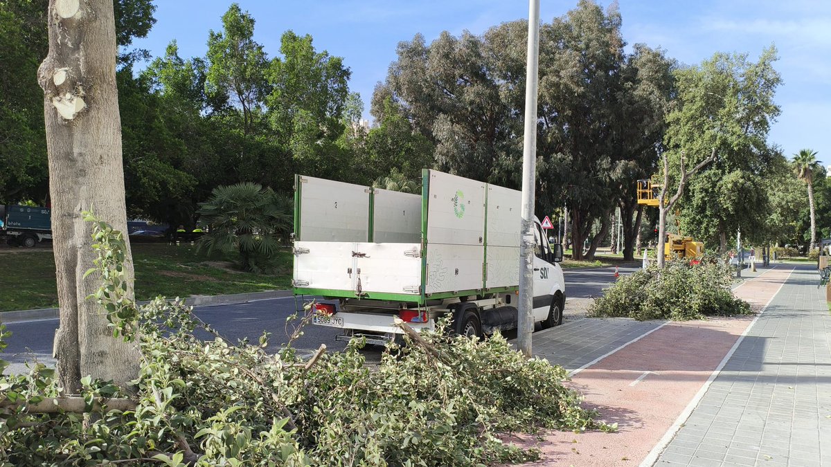 Manolo Copé tweet media