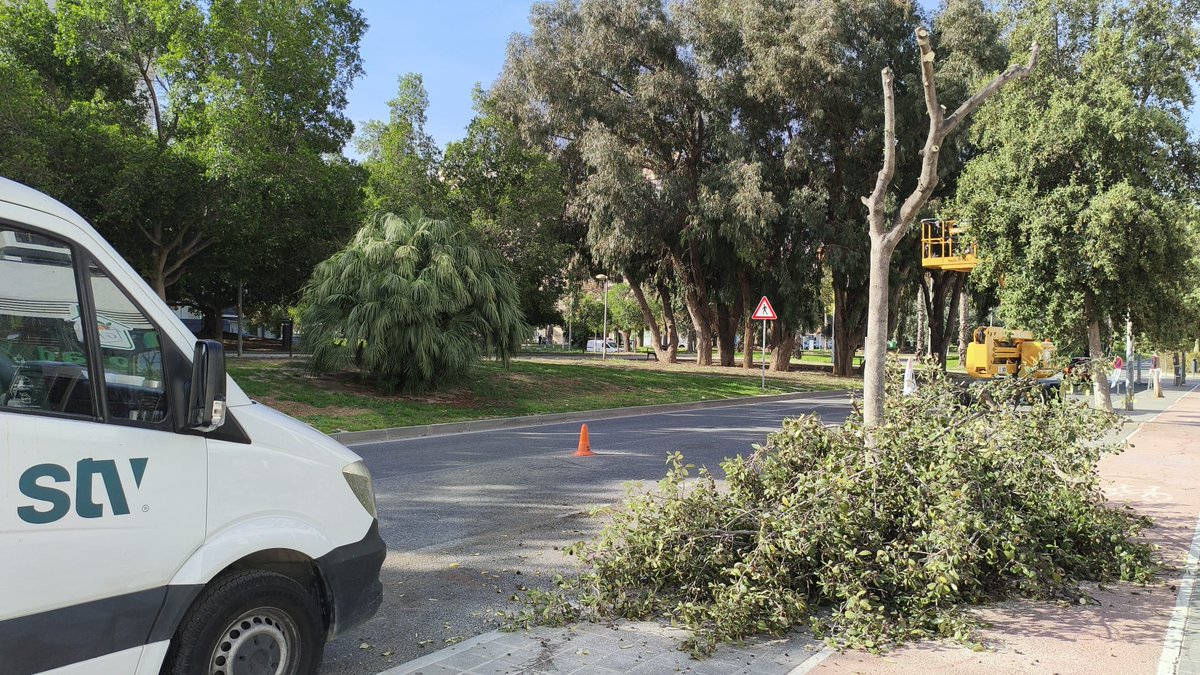 Manolo Copé tweet media