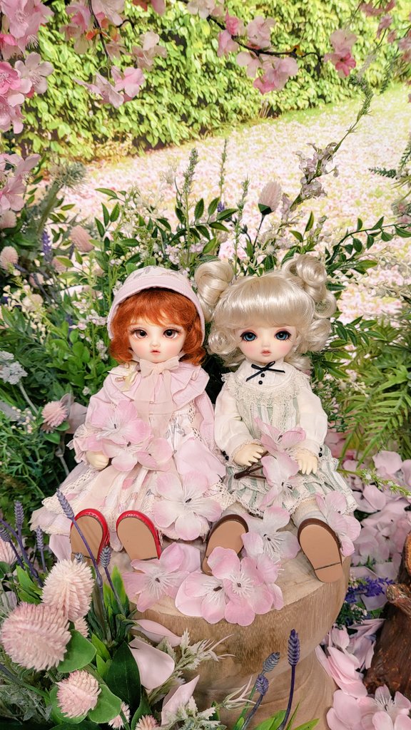 레몬밤 tweet media