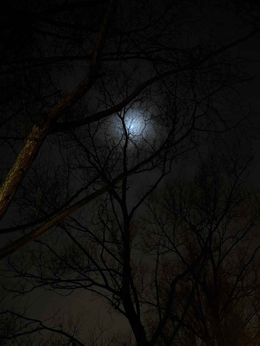 (⸝⸝ᵕᴗᵕ⸝⸝) tweet media