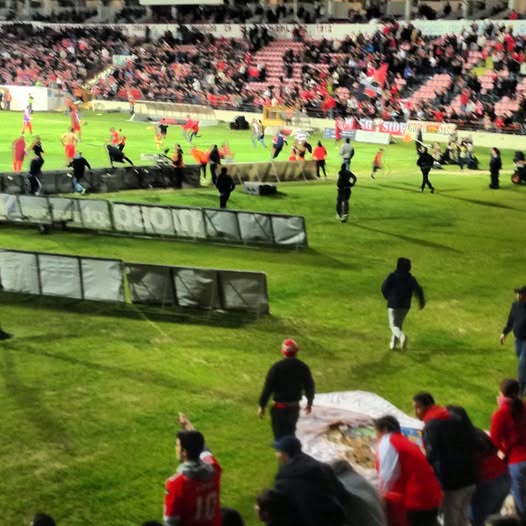 Fever Pitch tweet media