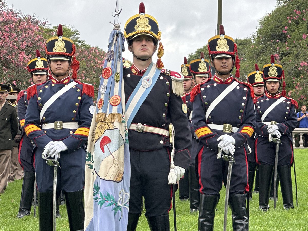Granaderos a Caballo tweet media