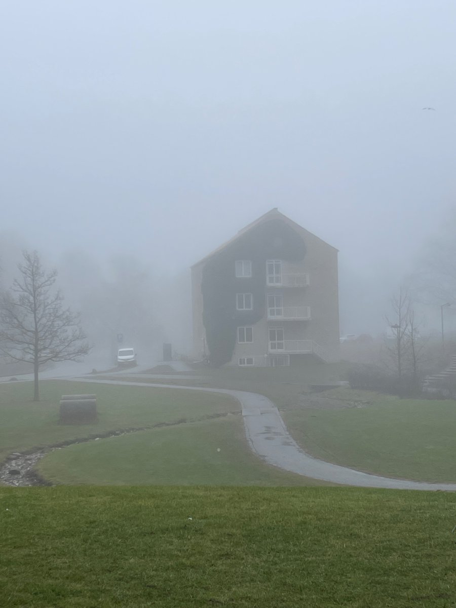 (⸝⸝ᵕᴗᵕ⸝⸝) tweet media