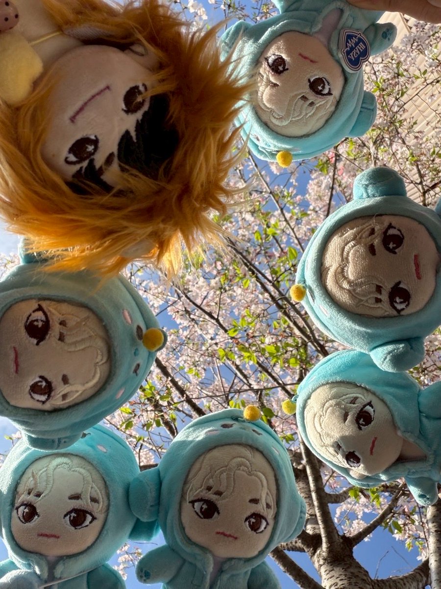hello_ask0716's tweet photo. 先週末のアジェ会💙❤️
はぴだんぶいカフェ、ポップアップ、プチお花見も出来て楽しかった𓂃𓂂ꕤ*.ﾟ https://t.co/tctZsqM2g1