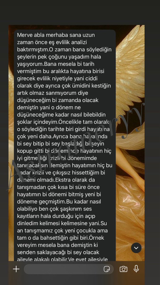 spritüel biri ☽ tweet media