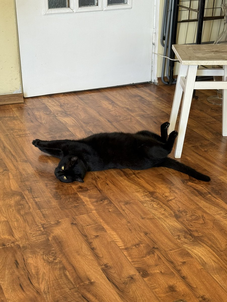 S3b@st!@n ✡️ tweet media