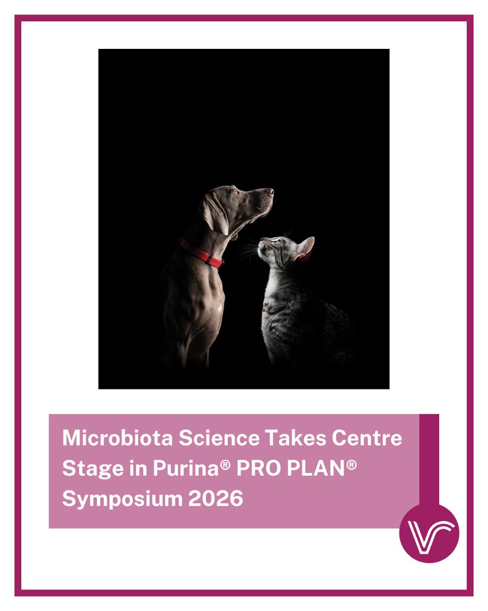 Vet Report tweet media