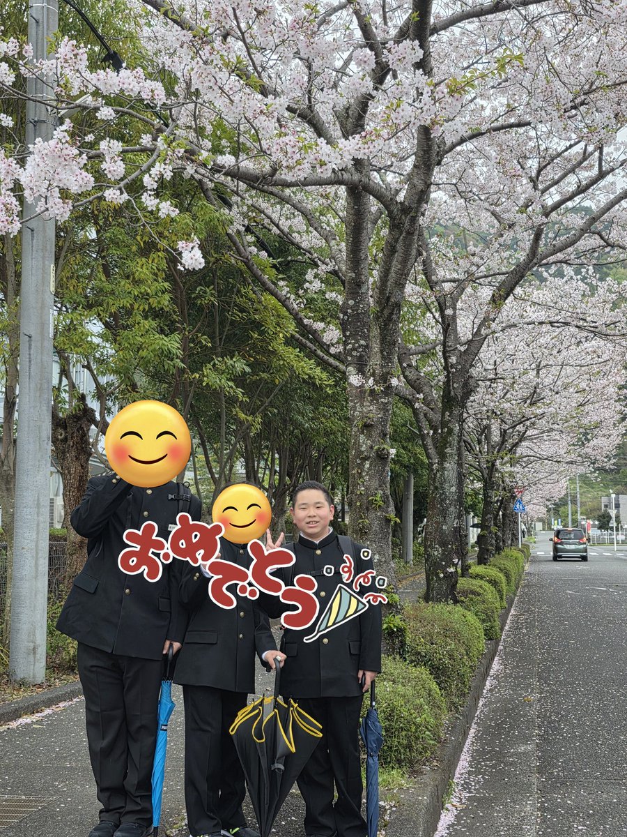 ✨かいとん✨ママ tweet media