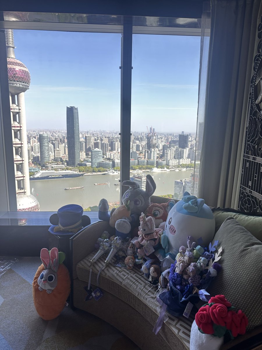 mayo.michi tweet media